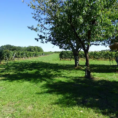 Chez Emilion Puisseguin