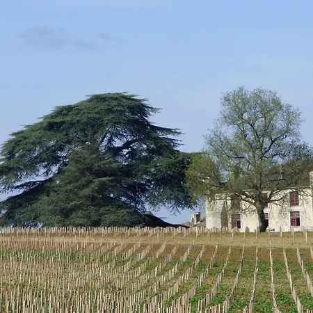 Chez Emilion *